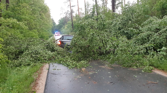 20220520_193615_resized groß.jpg